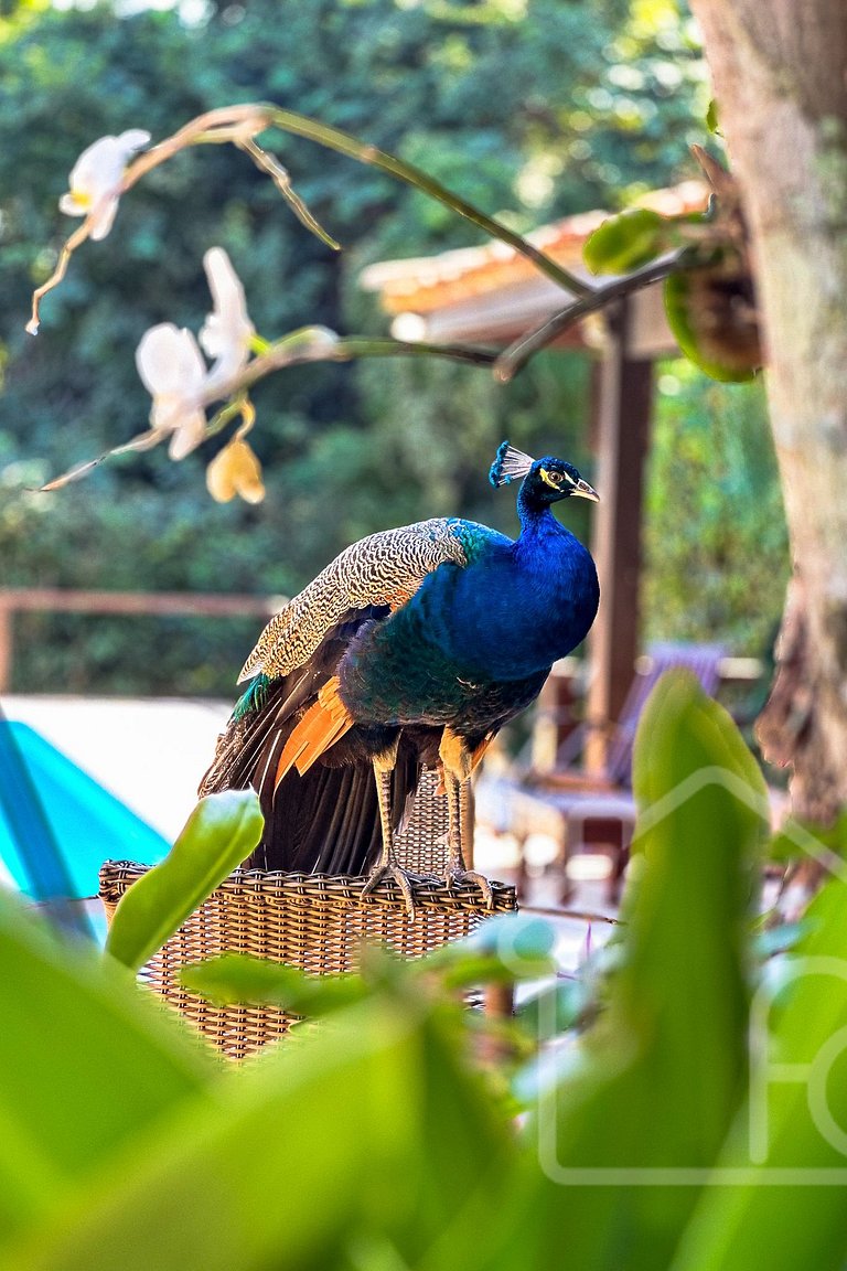 Casa aconchegante em Búzios
