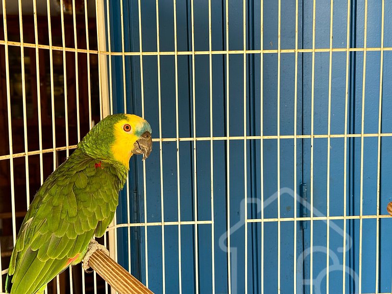 Fazenda privativa Rancho da Pedra