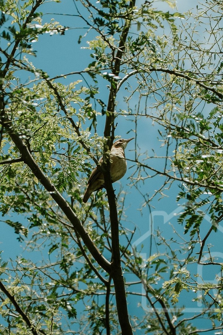 Chalé na Serra com banheira