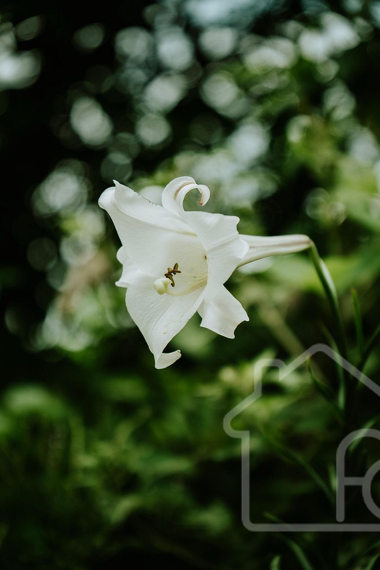 Chalé na Serra com banheira