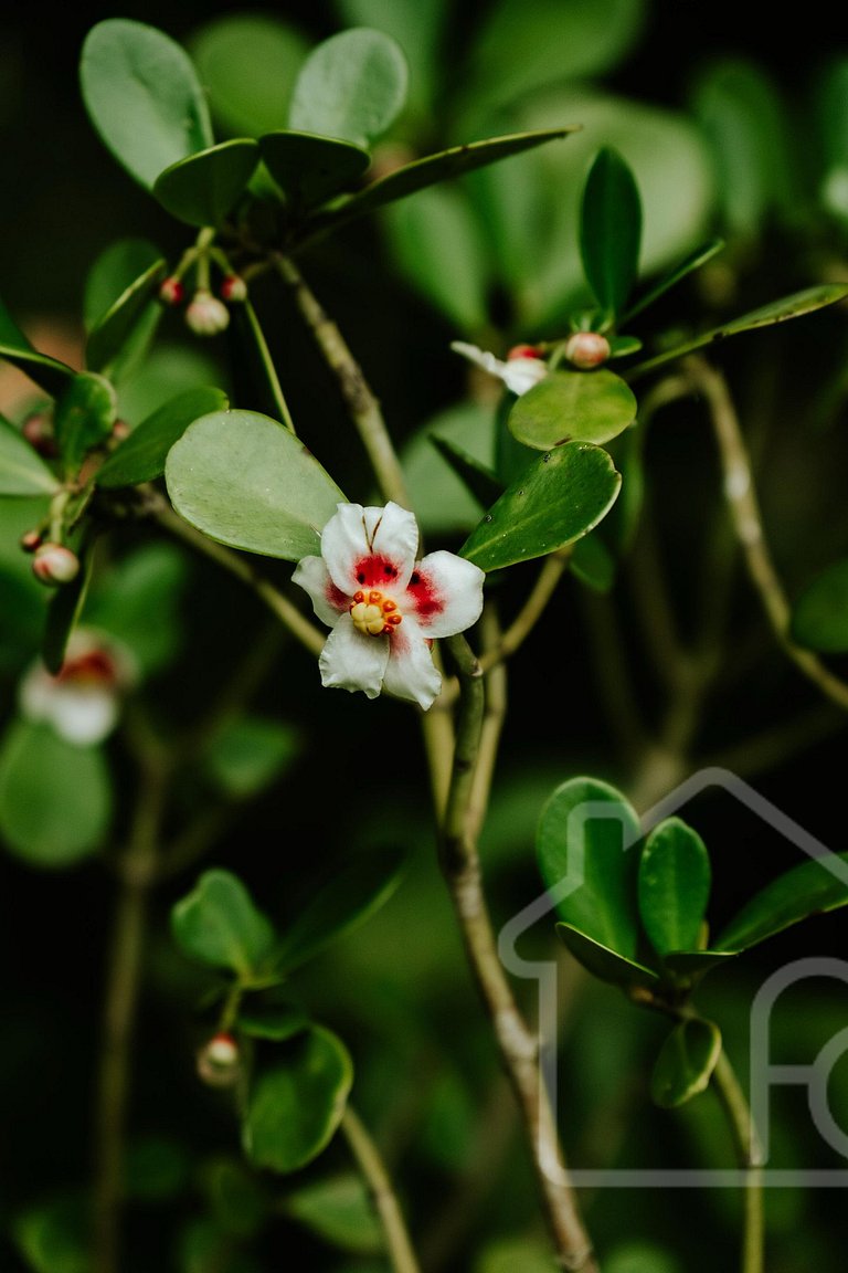 Chalé na Serra com banheira