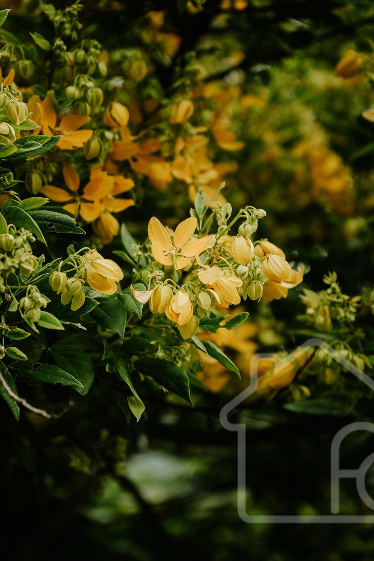 Chalé na Serra com banheira