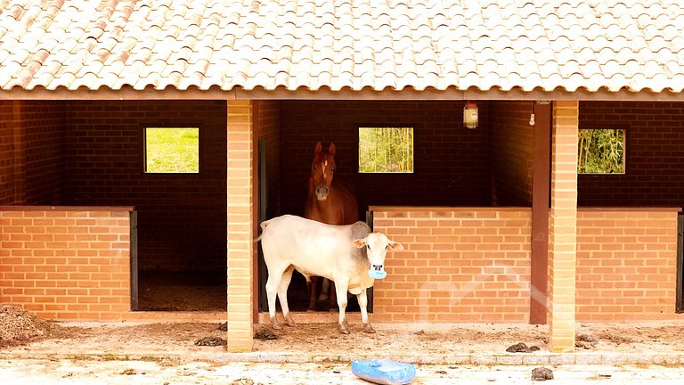 Fazenda Vale Dourado