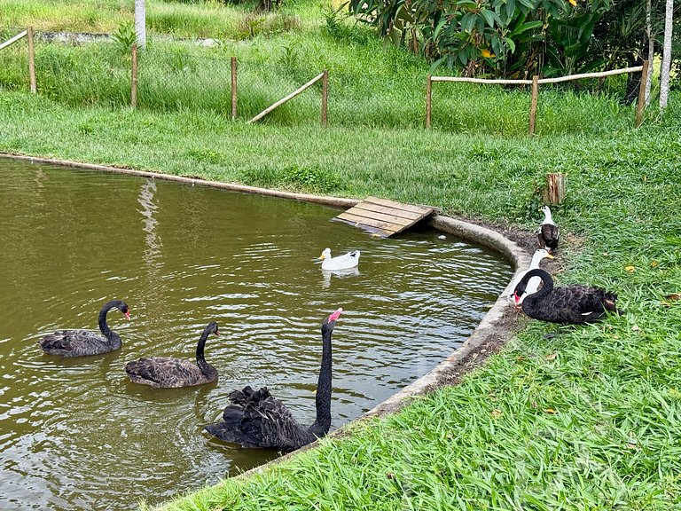 Fazenda Vale Dourado