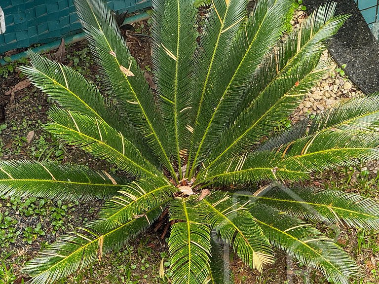 Loft Rio | Cobertura exclusiva com piscina e vista