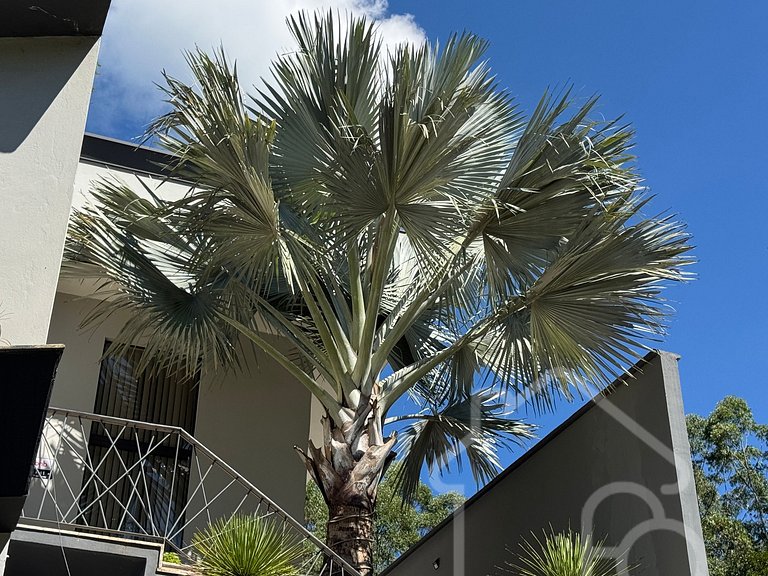 Studio moderno no Parque São Clemente