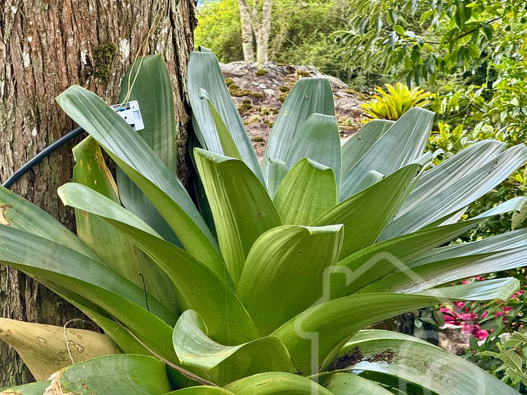 Casa espetacular com piscina e churrasqueira
