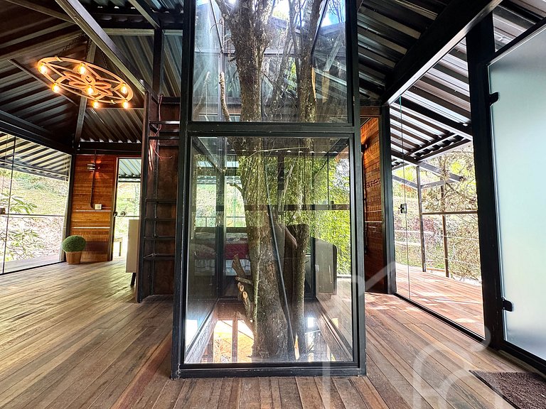 Casa na árvore cercada pela natureza e conforto