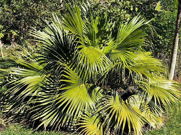 Refúgio na Serra com Rio no Jardim – Remanso Galdi