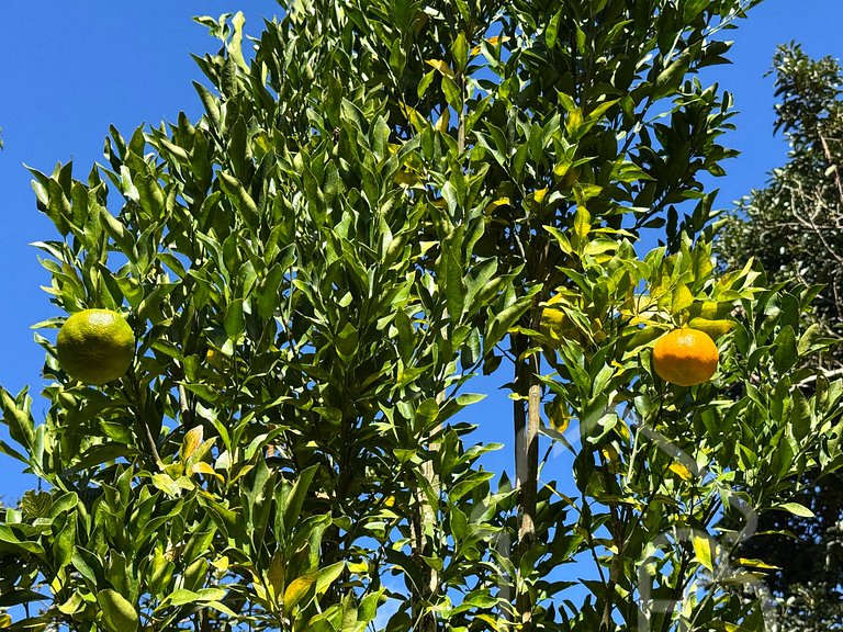 Refúgio na Serra com Rio no Jardim – Remanso Galdi