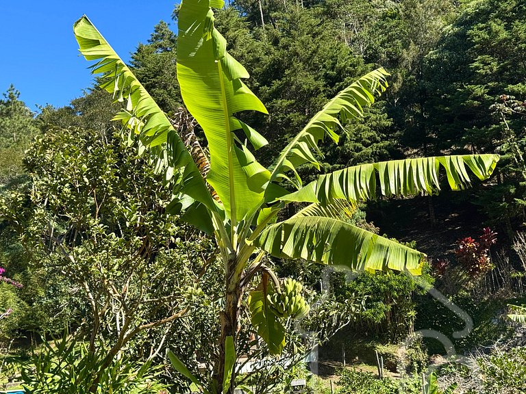 Refúgio na Serra com Piscina e Vista das Montanhas