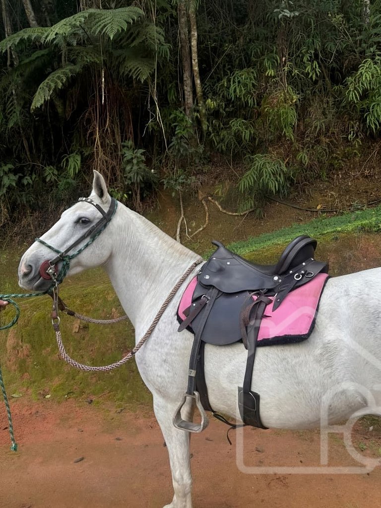 Casa de Campo em Itaipava com Piscina e Lareira